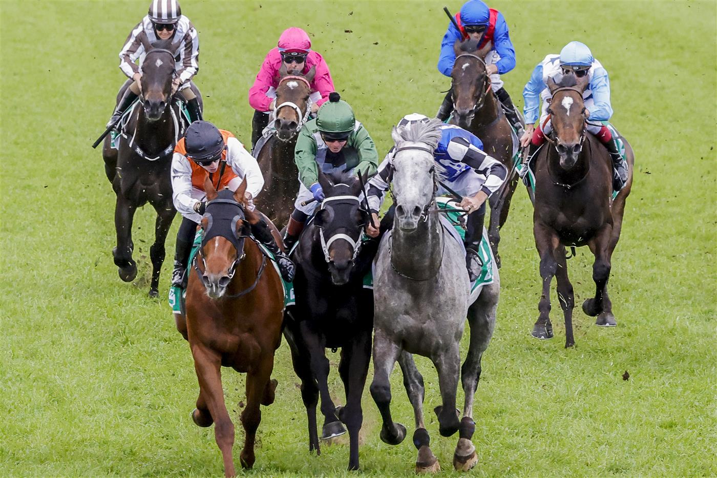 SYDNEY, AUSTRALIA - OCTOBER 01: Hugh Bowman on Top Ranked (grey horse) and Brenton Avdulla (orange) on Ellsberg are declared a dead heat in race 8 the Tab Epsom during Sydney Racing at Royal Randwick Racecourse on October 01, 2022 in Sydney, Australia. (Photo by Jenny Evans/Getty Images)
