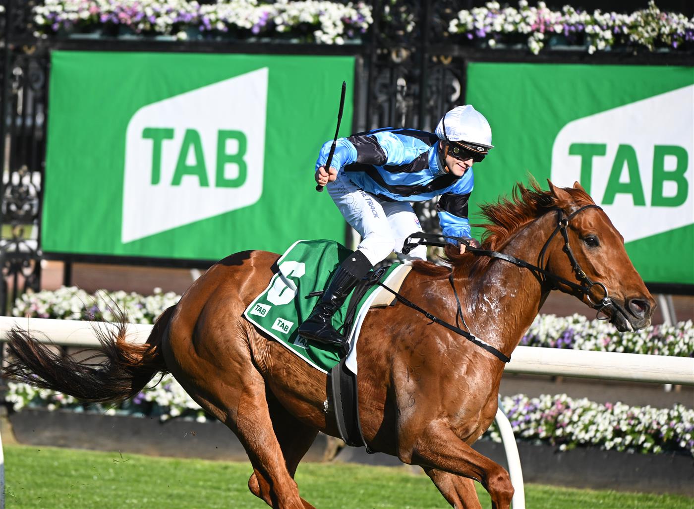 MELBOURNE, AUSTRALIA - OCTOBER 01: Ethan Brown riding Smokin' Romans after winning race 7, the TAB Turnbull Stakes, during Turnbull Stakes Day at Flemington Racecourse on October 01, 2022 in Melbourne, Australia. (Getty)