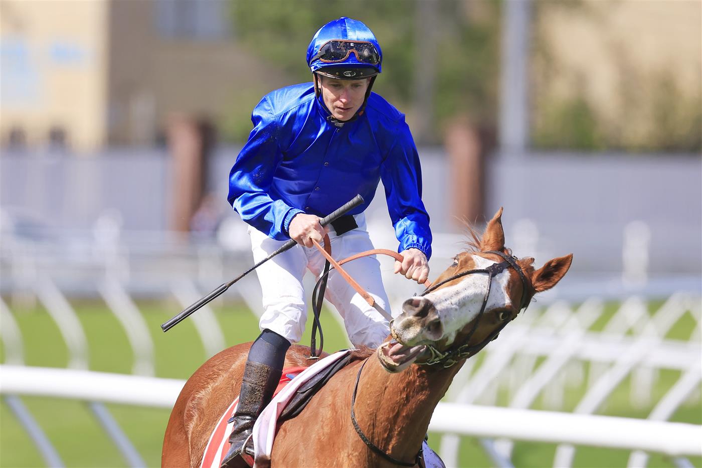 SYDNEY, AUSTRALIA - OCTOBER 01: James McDonald on Cascadian returns to scale after winning race 4 the Fujitsu General Hill Stakes during Sydney Racing at Royal Randwick Racecourse on October 01, 2022 in Sydney, Australia. (Photo by Mark Evans/Getty Images)