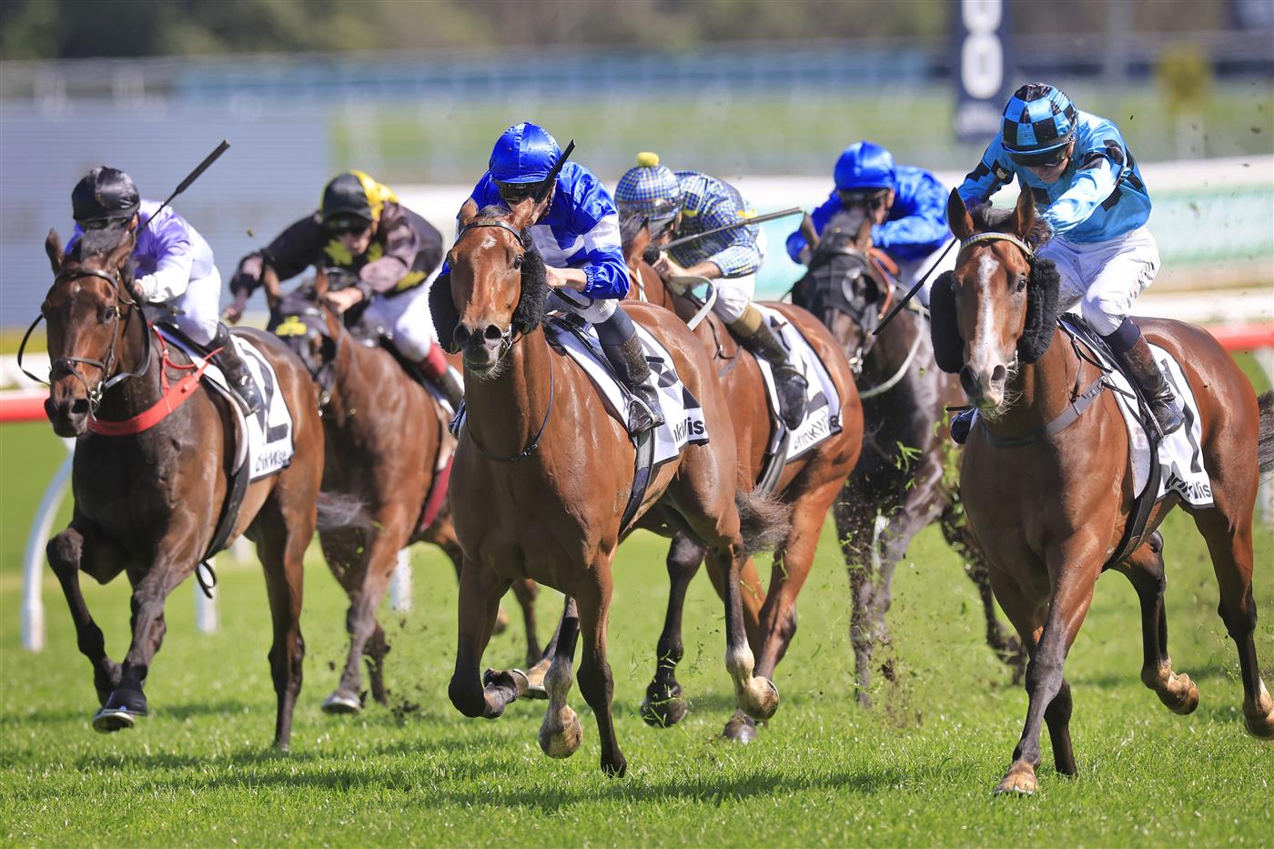 SYDNEY, AUSTRALIA - OCTOBER 01: Kerrin McEvoy on Williamsburg wins race 5 the Drinkwise Dulcify Stakes during Sydney Racing at Royal Randwick Racecourse on October 01, 2022 in Sydney, Australia. (Photo by Mark Evans/Getty Images)