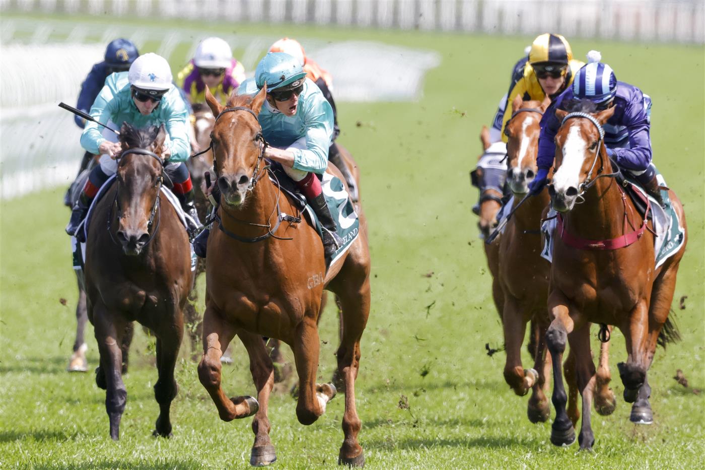SYDNEY, AUSTRALIA - OCTOBER 01: Regan Bayliss on Platinum Jubilee (number 8) wins race 2 the Keeneland Gimcrack Stakes during Sydney Racing at Royal Randwick Racecourse on October 01, 2022 in Sydney, Australia. (Photo by Jenny Evans/Getty Images)