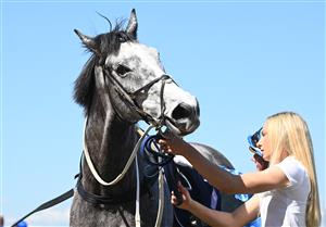 MELBOURNE, AUSTRALIA - OCTOBER 01: Visinari after winning Race 2, the Katherine Bourke Paris Lane Stakes, during Turnbull Stakes Day at Flemington Racecourse on October 01, 2022 in Melbourne, Australia. (Photo by Vince Caligiuri/Getty Images)