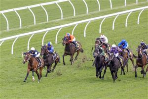 SYDNEY, AUSTRALIA - OCTOBER 01: Dylan Gibbons on Hosier wins race 3 the Schweppes Handicap during Sydney Racing at Royal Randwick Racecourse on October 01, 2022 in Sydney, Australia. (Photo by Jenny Evans/Getty Images)