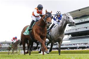 SYDNEY, AUSTRALIA - OCTOBER 01: Brenton Avdulla on Ellsberg and Hugh Bowman on Top Ranked finish in a dead heat in race 8 the TAB Epsom during Sydney Racing at Royal Randwick Racecourse on October 01, 2022 in Sydney, Australia. (Photo by Mark Evans/Getty Images)