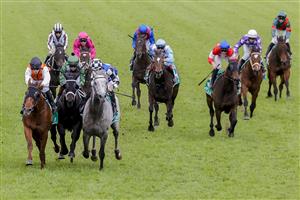 SYDNEY, AUSTRALIA - OCTOBER 01: Hugh Bowman on Top Ranked (grey horse) and Brenton Avdulla (orange) on Ellsberg are declared a dead heat in race 8 the Tab Epsom during Sydney Racing at Royal Randwick Racecourse on October 01, 2022 in Sydney, Australia. (Photo by Jenny Evans/Getty Images)