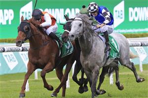 SYDNEY, AUSTRALIA - OCTOBER 01: Brenton Avdulla on Ellsberg and Hugh Bowman on Top Ranked finish in a dead heat in race 8 the TAB Epsom during Sydney Racing at Royal Randwick Racecourse on October 01, 2022 in Sydney, Australia. (Photo by Mark Evans/Getty Images)