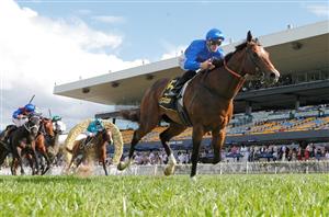 Caulfield Guineas Betting Odds - Golden Mile the market elect