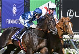 MELBOURNE, AUSTRALIA - OCTOBER 01: Craig Williams riding Giga Kick (r) winning Race 5, the Hq Tavern Danehill Stakes, during Turnbull Stakes Day at Flemington Racecourse on October 01, 2022 in Melbourne, Australia. (Photo by Vince Caligiuri/Getty Images)