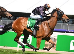 MELBOURNE, AUSTRALIA - OCTOBER 01: Damian Lane riding She's Licketysplit to win race 3, the TAB Edward Manifold Stakes, during Turnbull Stakes Day at Flemington Racecourse on October 01, 2022 in Melbourne, Australia. (Getty)