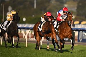 MELBOURNE, AUSTRALIA - OCTOBER 01: Damian Lane riding Mr Maestro winning Race 9, the Abc Bullion Super Impose Stakes, during Turnbull Stakes Day at Flemington Racecourse on October 01, 2022 in Melbourne, Australia. (Photo by Vince Caligiuri/Getty Images)