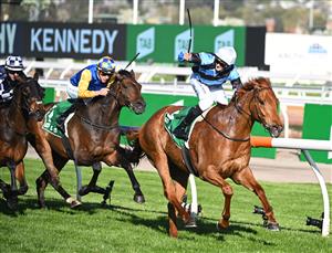 MELBOURNE, AUSTRALIA - OCTOBER 01: Ethan Brown riding Smokin' Romans after winning race 7, the TAB Turnbull Stakes, during Turnbull Stakes Day at Flemington Racecourse on October 01, 2022 in Melbourne, Australia. (Getty)