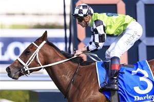 SYDNEY, AUSTRALIA - OCTOBER 01: James McDonald on Zougotcha wins race 6 the Darley Flight Stakes during Sydney Racing at Royal Randwick Racecourse on October 01, 2022 in Sydney, Australia. (Photo by Mark Evans/Getty Images)