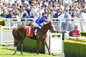 SYDNEY, AUSTRALIA - OCTOBER 01: James McDonald on Cascadian returns to scale after winning race 4 the Fujitsu General Hill Stakes during Sydney Racing at Royal Randwick Racecourse on October 01, 2022 in Sydney, Australia. (Photo by Jenny Evans/Getty Images)