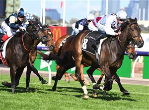 MELBOURNE, AUSTRALIA - OCTOBER 01: Michael Dee riding Lunar Flare winning Race 6, the The Lexus Bart Cummings, during Turnbull Stakes Day at Flemington Racecourse on October 01, 2022 in Melbourne, Australia. (Photo by Vince Caligiuri/Getty Images)
