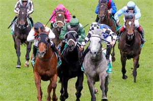 Randwick Highlights - October 1