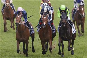 SYDNEY, AUSTRALIA - OCTOBER 01: Tommy Berry (pink cap) on No Compromise wins race 9 the Furphy Metropolitan during Sydney Racing at Royal Randwick Racecourse on October 01, 2022 in Sydney, Australia. (Photo by Jenny Evans/Getty Images)