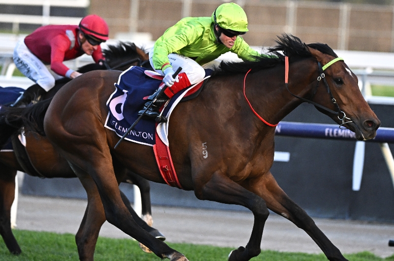 Caulfield Guineas Tips Free Betting Previews And Best Bets For The 