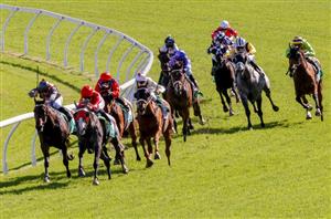Gosford Tips for 06.10.2022