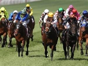 Launceston Tips for Wednesday, October 16