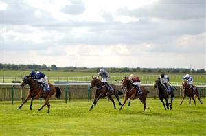 2022 Fillies' Mile Odds - Commissioning odds-on to remain unbeaten