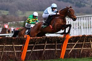 2023 Champion Hurdle Odds and Tips - Start of season guide and a 33/1 value bet