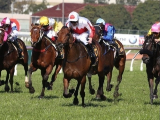 Ipswich Racing Tips, Best Bets & Odds Today's Betting Tips for