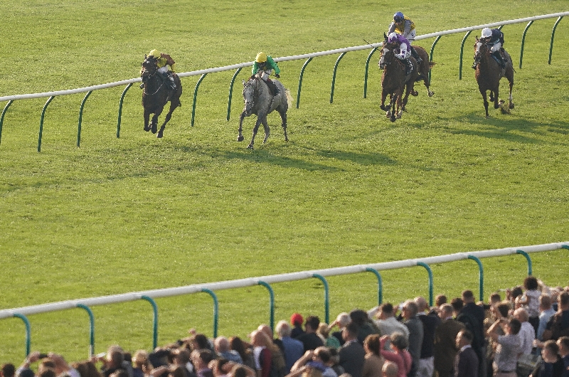 Cesarewitch 2022 betting online nombres de clanes para mutual betting