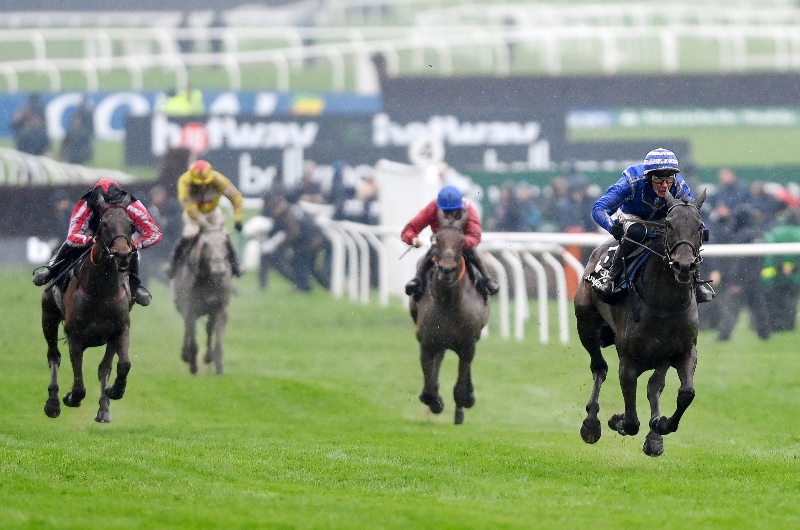 Champion Chase Odds and Entries