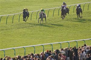 2022 Cesarewitch Handicap Tips - Odds, Trends and Two Against The Field