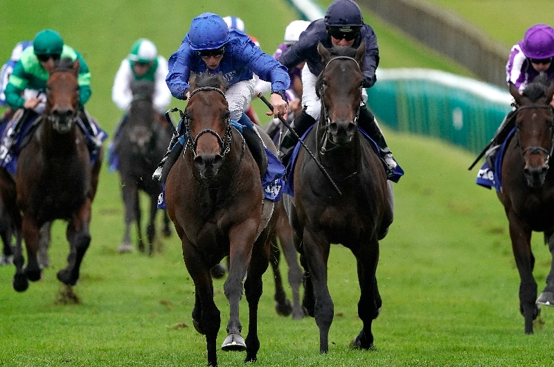 2022 Dewhurst Stakes Tips Newmarket tips October 8