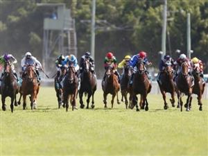 Kyneton cup bettingadvice go get ethereum