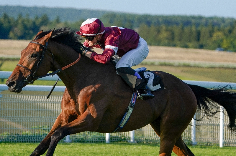 Cesarewitch 2022 betting online world cup 2018 betting odds