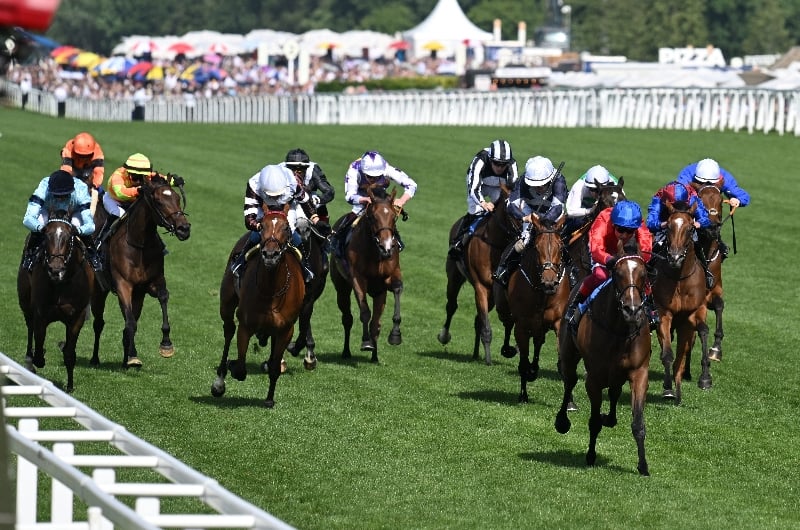 champion stakes ascot 2022 betting line