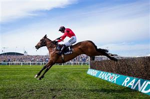 Horses To Follow - 25 jumpers to track in 2022/23