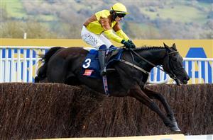 Galopin Des Champs to run in Irish Gold Cup en-route to Cheltenham