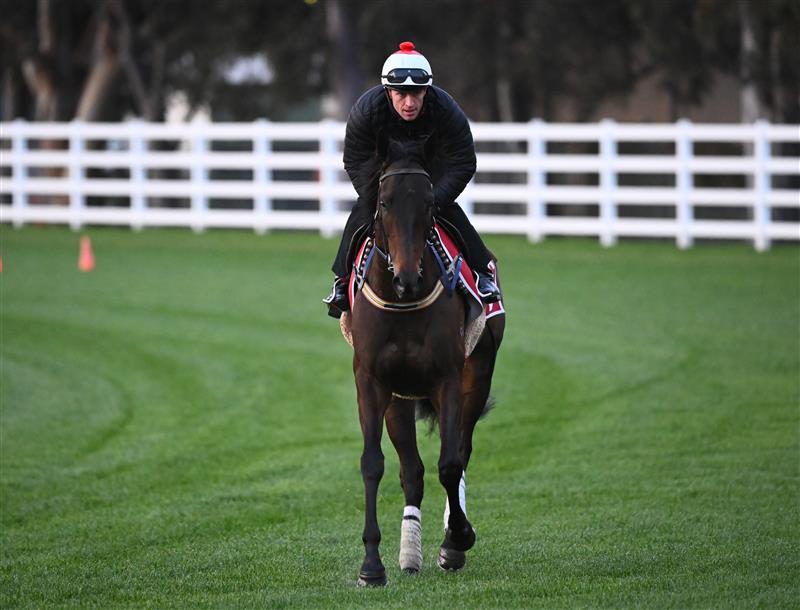 MELBOURNE, AUSTRALIA - OCTOBER 11: Josh Parr riding Duais during a trackwork session ahead of the Caulfield Cup at Caulfield Racecourse on October 11, 2022 in Melbourne, Australia. (Photo by Vince Caligiuri/Getty Images)