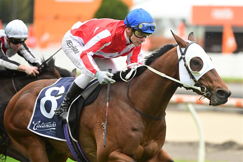 MELBOURNE, AUSTRALIA - OCTOBER 12: Ben Melham riding Grand Impact winning Race 7, the Catanach
