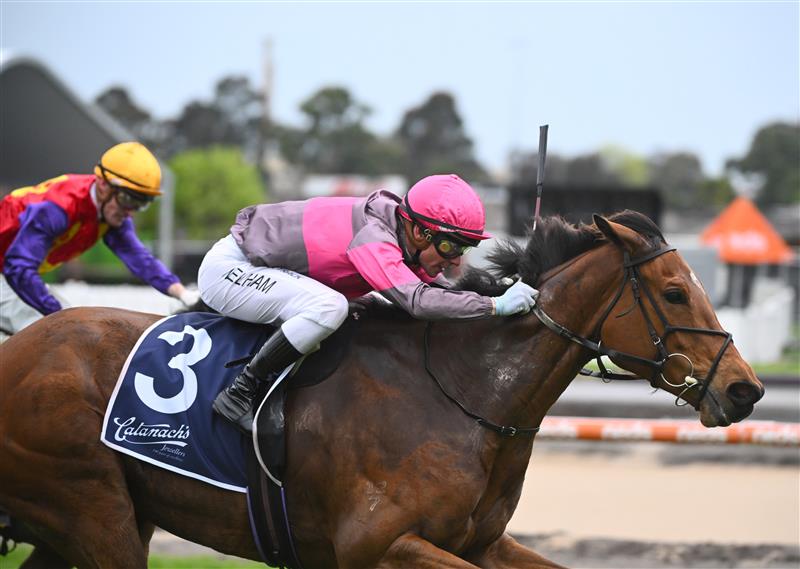 MELBOURNE, AUSTRALIA - OCTOBER 12: Ben Melham riding Sirileo Miss winning Race 9, the Catanach