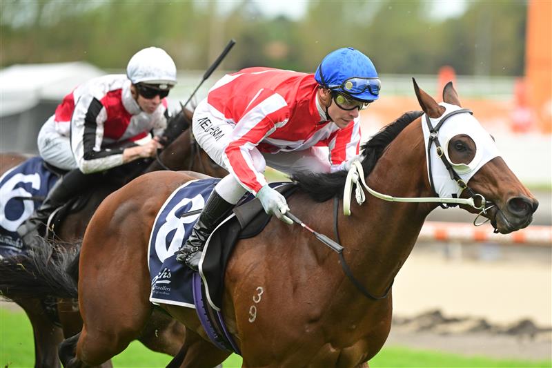 MELBOURNE, AUSTRALIA - OCTOBER 12: Ben Melham riding Grand Impact winning Race 7, the Catanach