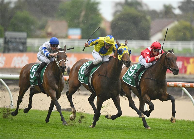 MELBOURNE, AUSTRALIA - OCTOBER 12: Ethan Brown riding Port Phillip (r) defeats Damien Oliver riding Kissinger in Race 2, the Evergreen Turf Handicap, during Caulfield Thousand Guineas Day at Caulfield Racecourse on October 12, 2022 in Melbourne, Australia. (Photo by Vince Caligiuri/Getty Images)