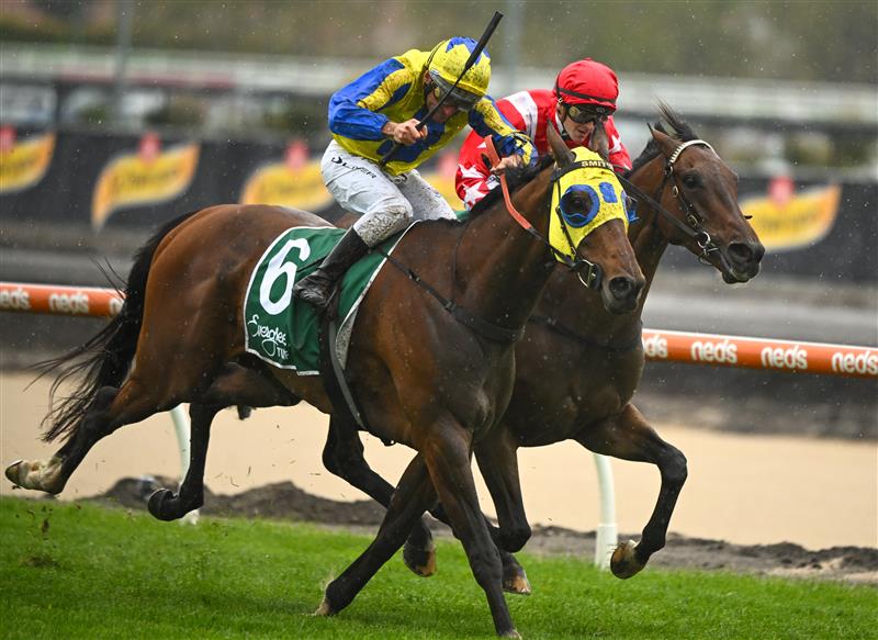 MELBOURNE, AUSTRALIA - OCTOBER 12: Ethan Brown riding Port Phillip (r) defeats Damien Oliver riding Kissinger in Race 2, the Evergreen Turf Handicap, during Caulfield Thousand Guineas Day at Caulfield Racecourse on October 12, 2022 in Melbourne, Australia. (Photo by Vince Caligiuri/Getty Images)