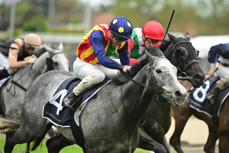 MELBOURNE, AUSTRALIA - OCTOBER 12: John Allen riding Ascension defeats Chad Schofield riding Eluding in Race 6, the Marshall White Trophy, during Caulfield Thousand Guineas Day at Caulfield Racecourse on October 12, 2022 in Melbourne, Australia. (Photo by Vince Caligiuri/Getty Images)