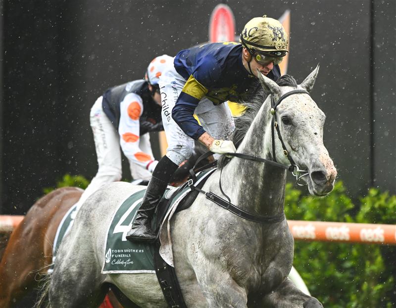 MELBOURNE, AUSTRALIA - OCTOBER 12: Jordan Childs riding White Marlin winning Race 4, the Tobin Brothers Celebrating Lives,  during Caulfield Thousand Guineas Day at Caulfield Racecourse on October 12, 2022 in Melbourne, Australia. (Photo by Vince Caligiuri/Getty Images)