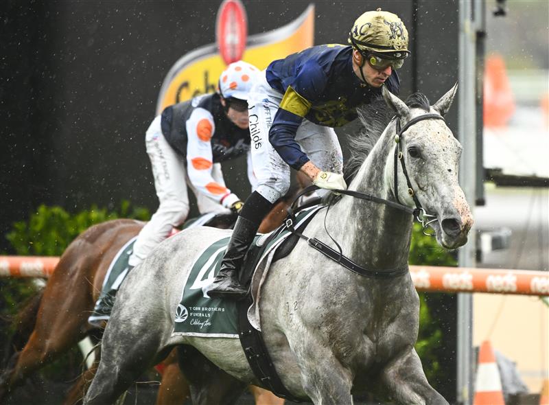 MELBOURNE, AUSTRALIA - OCTOBER 12: Jordan Childs riding White Marlin winning Race 4, the Tobin Brothers Celebrating Lives,  during Caulfield Thousand Guineas Day at Caulfield Racecourse on October 12, 2022 in Melbourne, Australia. (Photo by Vince Caligiuri/Getty Images)
