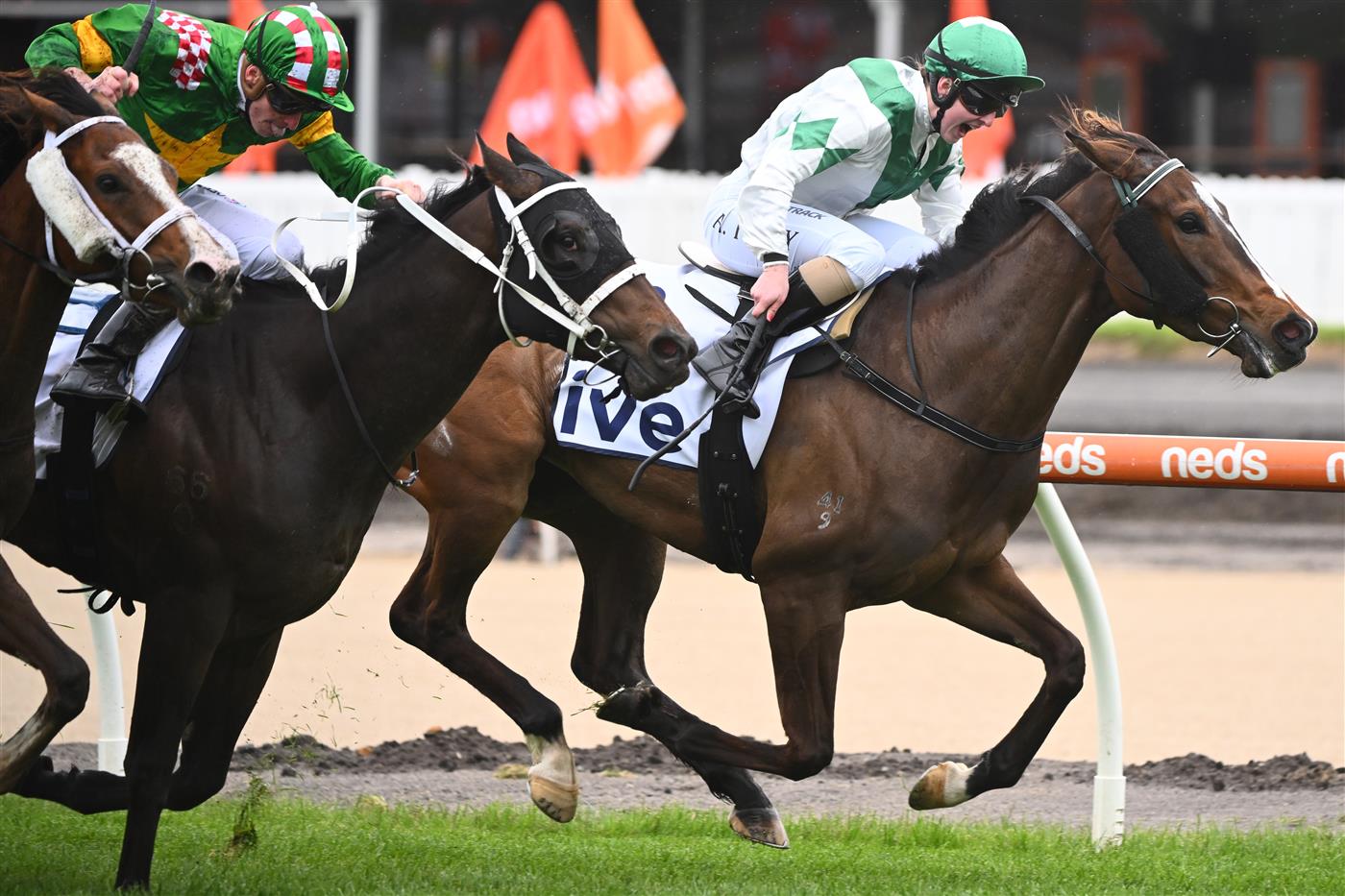 MELBOURNE, AUSTRALIA - OCTOBER 12: Alana Kelly riding  Zoe
