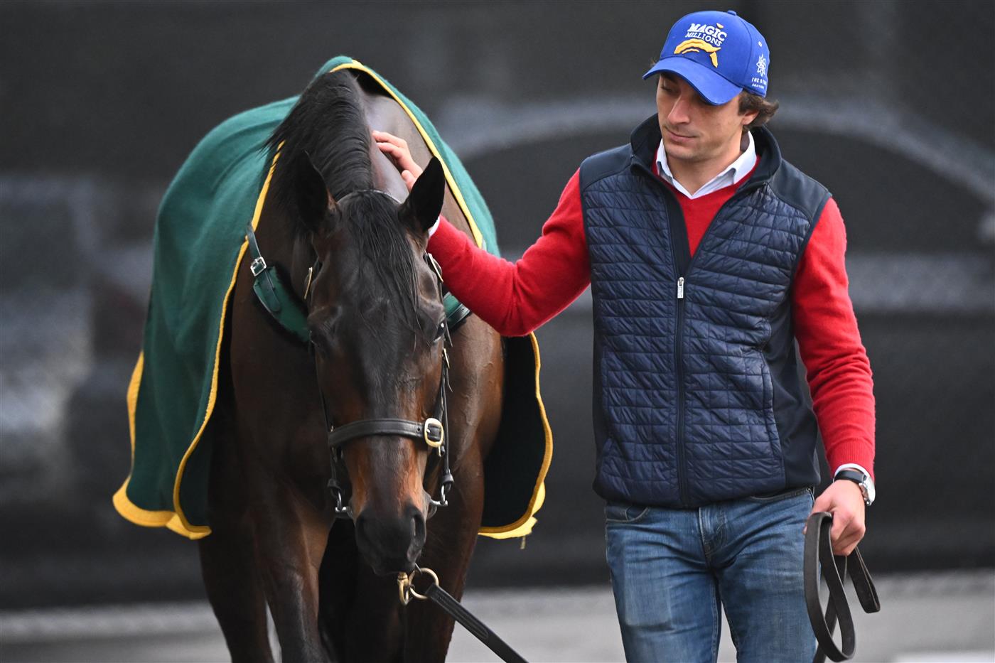MELBOURNE, AUSTRALIA - OCTOBER 11: Duais is seen during a trackwork session ahead of the Caulfield Cup at Caulfield Racecourse on October 11, 2022 in Melbourne, Australia. (Photo by Vince Caligiuri/Getty Images)