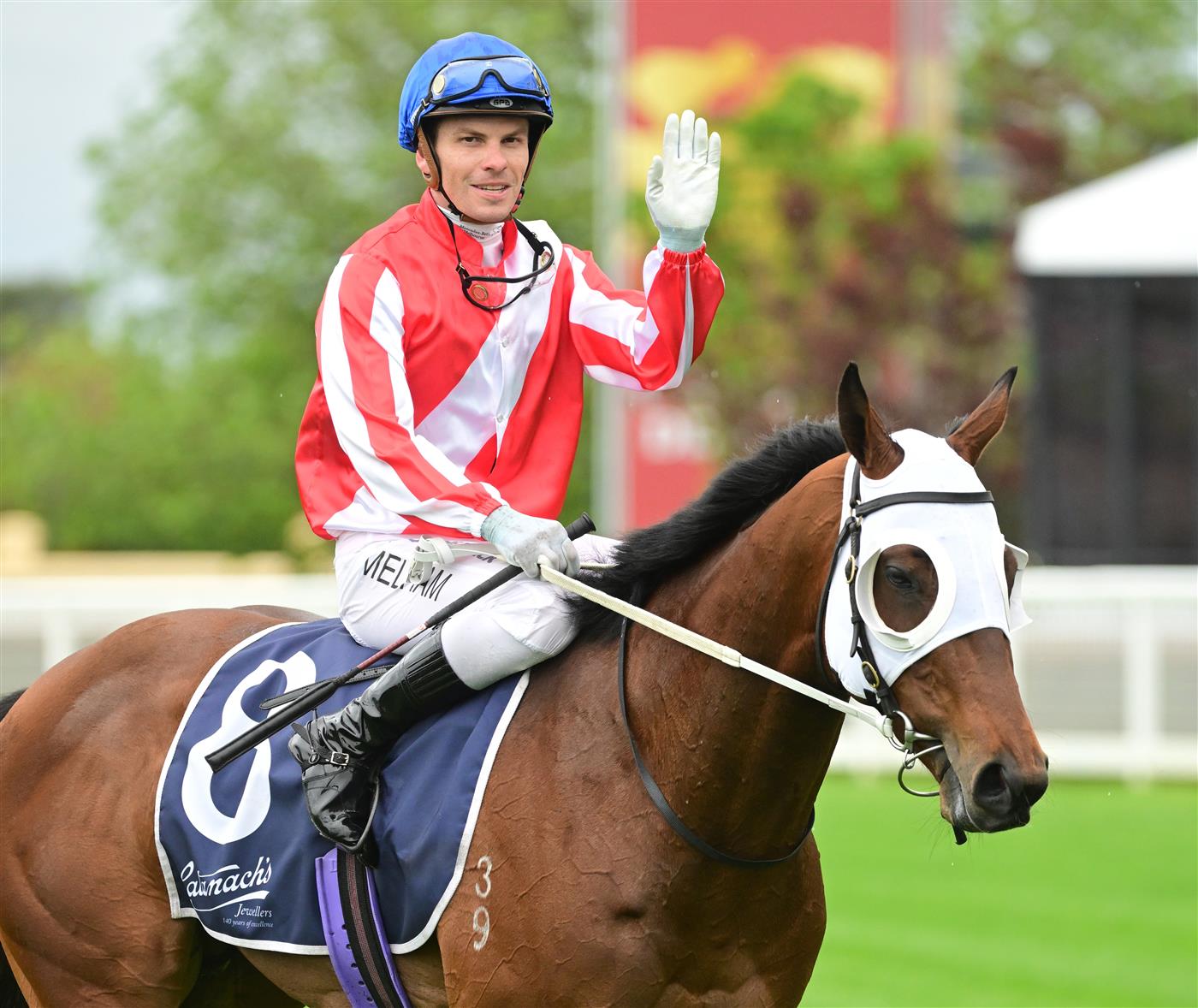 MELBOURNE, AUSTRALIA - OCTOBER 12: Ben Melham riding Grand Impact after winning Race 7, the Catanach