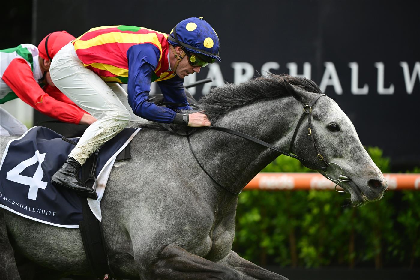 MELBOURNE, AUSTRALIA - OCTOBER 12: John Allen riding Ascension defeats Chad Schofield riding Eluding in Race 6, the Marshall White Trophy, during Caulfield Thousand Guineas Day at Caulfield Racecourse on October 12, 2022 in Melbourne, Australia. (Photo by Vince Caligiuri/Getty Images)