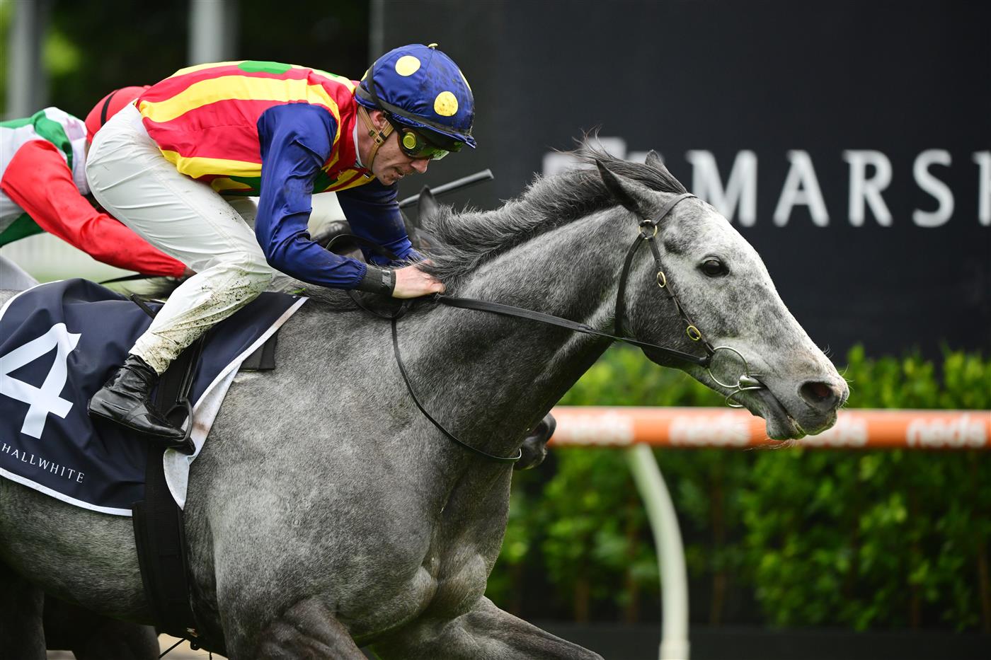 MELBOURNE, AUSTRALIA - OCTOBER 12: John Allen riding Ascension defeats Chad Schofield riding Eluding in Race 6, the Marshall White Trophy, during Caulfield Thousand Guineas Day at Caulfield Racecourse on October 12, 2022 in Melbourne, Australia. (Photo by Vince Caligiuri/Getty Images)