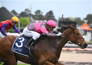 MELBOURNE, AUSTRALIA - OCTOBER 12: Ben Melham riding Sirileo Miss winning Race 9, the Catanach's Jewellers Ladies' Day Vase , during Caulfield Thousand Guineas Day at Caulfield Racecourse on October 12, 2022 in Melbourne, Australia. (Photo by Vince Caligiuri/Getty Images)